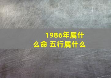 1986年属什么命 五行属什么